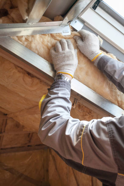 Professional Insulation Contractor in Palm River Clair Mel, FL