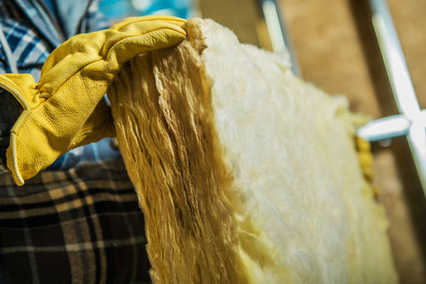 Best Geographic-Specific Insulation Services in Palm River Clair Mel, FL